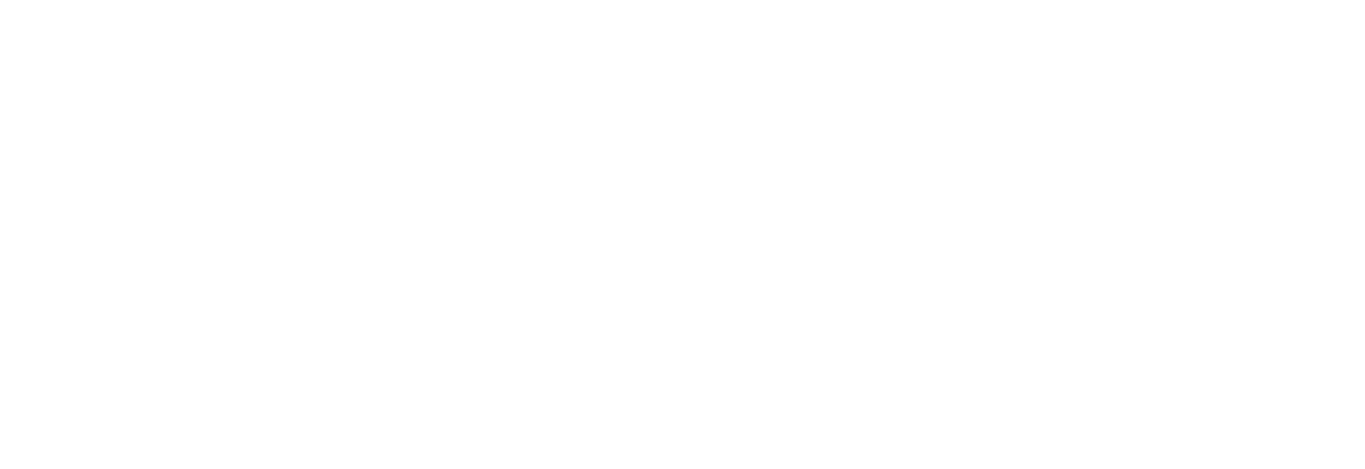 OBN_logo pequeño_blanco_webp